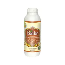 کود بیولوژیک باسیلار (Bacilar)