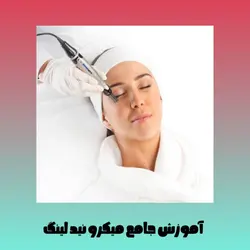 جزوه جامع و کامل آموزش کار با میکرونیدلینگ PDF