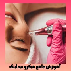 جزوه جامع و کامل آموزش کار با میکرونیدلینگ PDF