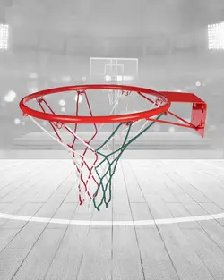 حلقه معمولی بسکتبال تورال کد 487408