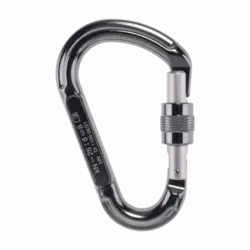 کارابین پیچ بی لاک بئال Beal Be Lock Screw Carabiner - زاگرس کنیون