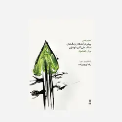 مجموعه ی پیش درامد ها و رنگ های استاد علی اکبر شهنازی برای کمانچه