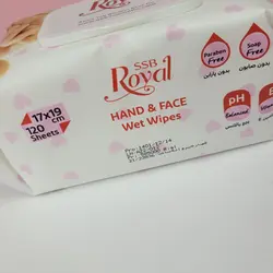 دستمال مرطوب بالشتکی ۱۲۰برگ