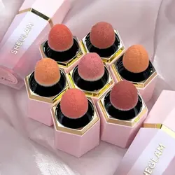 رژگونه پددار شیگلم