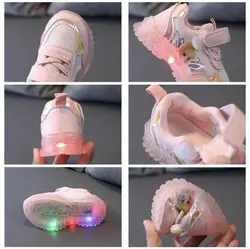 كتوني وارداتي