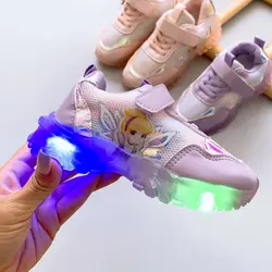 كتوني وارداتي