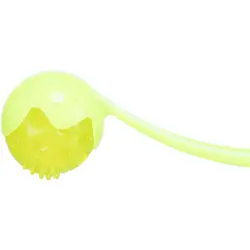 پرتاب کننده توپ Blinkball  تریکسی آلمان