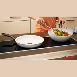 ماهیتابه تفال فرانسه 20 سانتی متری C90806