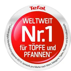 ماهیتابه تفال فرانسه 24 سانتی متری E82504