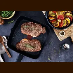 ماهیتابه تفال فرانسه E23540