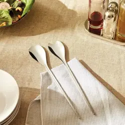قاشق سالاد السی ایتالیا Alessi Salatbesteck