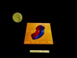 سیم ویولن داداریو اکسنت