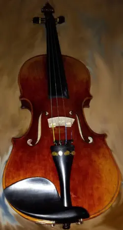 ویولن کارل هافنر karl Höfner H225