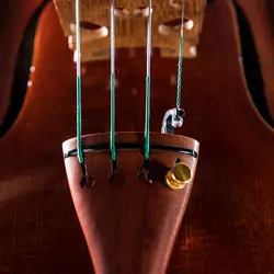 سیم ویولن توماستیک ویژن سولو تیتانیوم