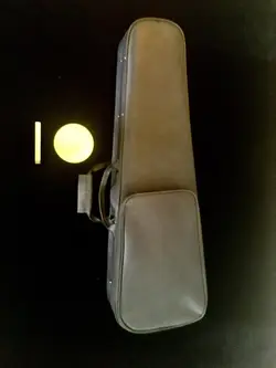 ویولن گیوا پیور
