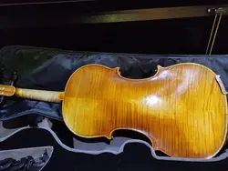 ویولن کارل هافنر H-115