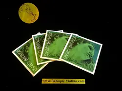 Pirastro Evah Pirazzi سیم پیراسترو اوا پیرازی - فروشگاه تخصصی باروک ویولن