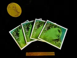 Pirastro Evah Pirazzi سیم پیراسترو اوا پیرازی - فروشگاه تخصصی باروک ویولن