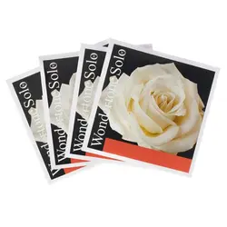 سیم ویولن پیراسترو وانترتون سولو-فروشگاه تخصصی باروک ویولن