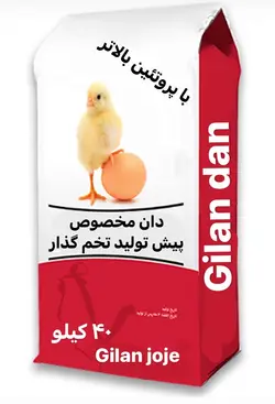 دان پیش تولید مرغ تخم گذار