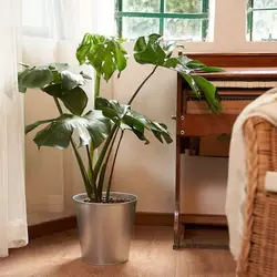 گلدان گیاه مدل ÅKERBÄR | برند ایکیا | ارسال 15 الی 20 روز کاری