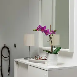 گیاه گلدانی ارکیده یاس بنفش مصنوعی مدل FEJKA | برند ایکیا | ارسال 15 الی 20 روز کاری