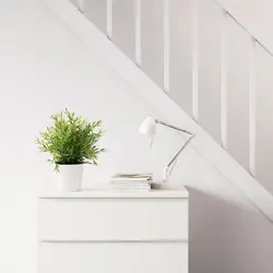 گیاه گلدانی بامبو مصنوعی مدل FEJKA | برند ایکیا | ارسال 15 الی 20 روز کاری