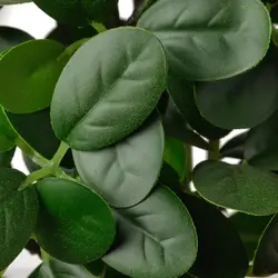 گیاه گلدانی بونسای مصنوعی مدل FEJKA | برند ایکیا | ارسال 15 الی 20 روز کاری