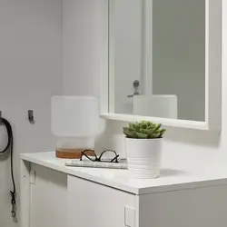 گیاه گلدانی ساکولنت مصنوعی مدل FEJKA | برند ایکیا | ارسال 15 الی 20 روز کاری