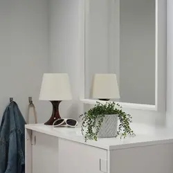 گیاه گلدانی مصنوعی مدل FEJKA | برند ایکیا | ارسال 15 الی 20 روز کاری