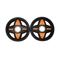 صفحه هالتر باشگاهی مدل FIT FUN وزن 2.5 کیلوگرم بسته دو عددی