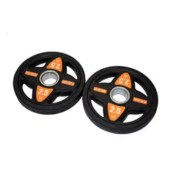 صفحه هالتر باشگاهی مدل FIT FUN وزن 2.5 کیلوگرم بسته دو عددی