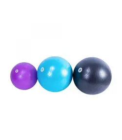 توپ جیم بال LIVEPRO مدل LP8201 قطر 65 سانتی متر