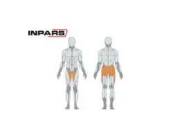 دستگاه داخل پا و خارج پا اینپارس (inpars)