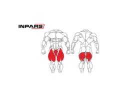 دستگاه هاگ اسکوات اینپارس (inpars)