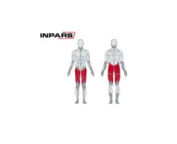 دستگاه مولتی هیپ اینپارس (inpars)
