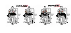 دستگاه جلو و پشت بازو نشسته اینپارس (inpars)