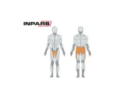 دستگاه داخل پا خارج پا اینپارس(inpars)   Pro3009