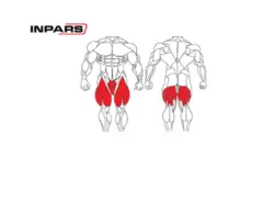 دستگاه هاگ اسکوات اینپارس (inpars) PRO3010