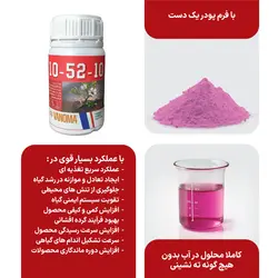 کود 10-52-10 گیاهان آپارتمانی