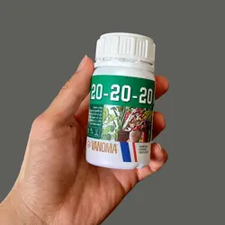 کود 20-20-20 گیاهان آپارتمانی