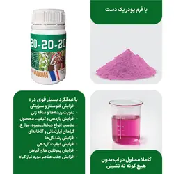 کود 20-20-20 گیاهان آپارتمانی