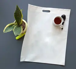 ساک پارچه ای تبلیغاتی 35X25 خام ( 50 عدد )