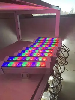 وال واشر6ال ای دی مولتی