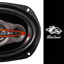 بلندگوی بیضی بلک ساند مدل BL-695 – ماریا مارکت - فروش سیستم صوتی خودرو