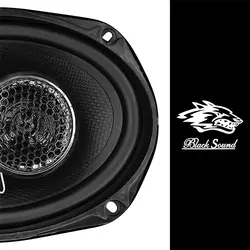 بلندگوی بیضی بلک ساند مدل BL-699 – ماریا مارکت - فروش سیستم صوتی خودرو