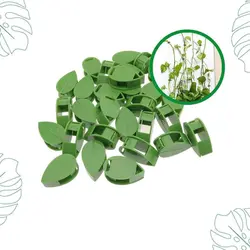 گیره نگهدارنده گل و گیاه