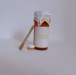 عسل تغذیه ای گون-گشنیز (برداشت اول)