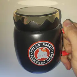 ماگ مدل درب آینه ای طرح Hello Rabbit (دو رنگ)