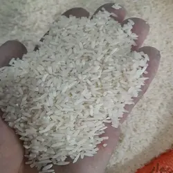 برنج سرلاشه هاشمی گیلان